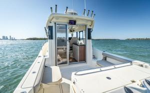 Arvor 905 Sportsfish 